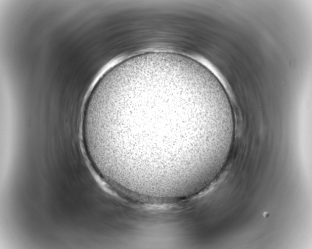 X0000084570861200703161721