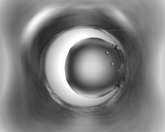 X0000084570862200703161721