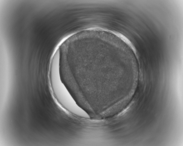X0000084570863200703161721
