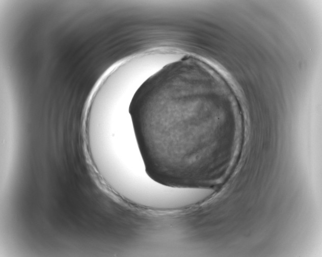 X0000084570864200703161721
