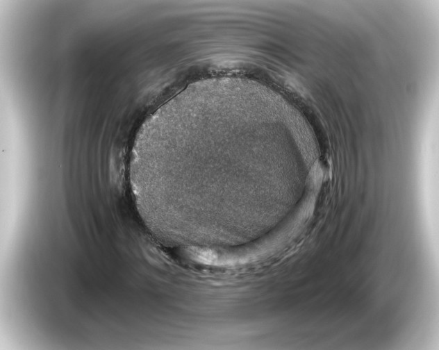 X0000084570868200703161720