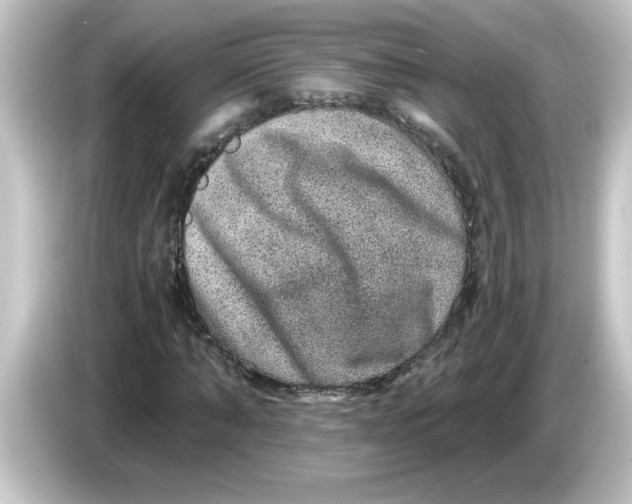 X0000084570870200703161720