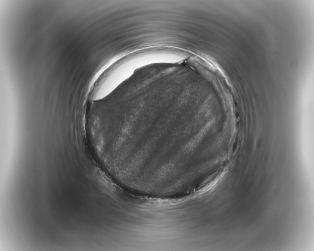 X0000084570877200703161720