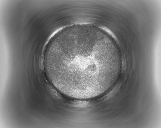 X0000084570878200703161720