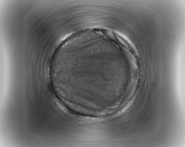 X0000084570881200703161720