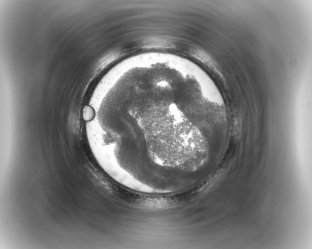 X0000084570882200703161720