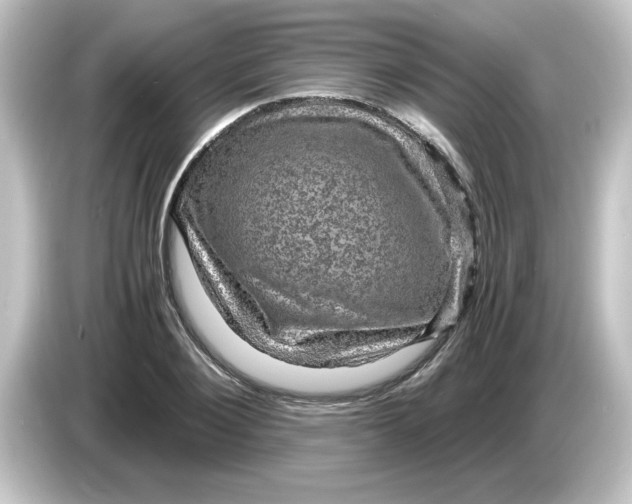 X0000084570884200703161720