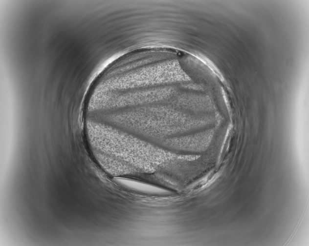 X0000084570885200703161720