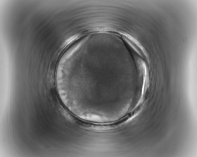 X0000084570889200703161720
