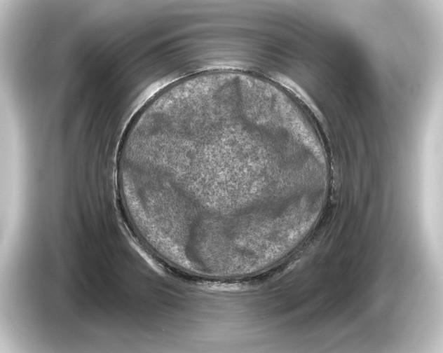 X0000084570890200703161720