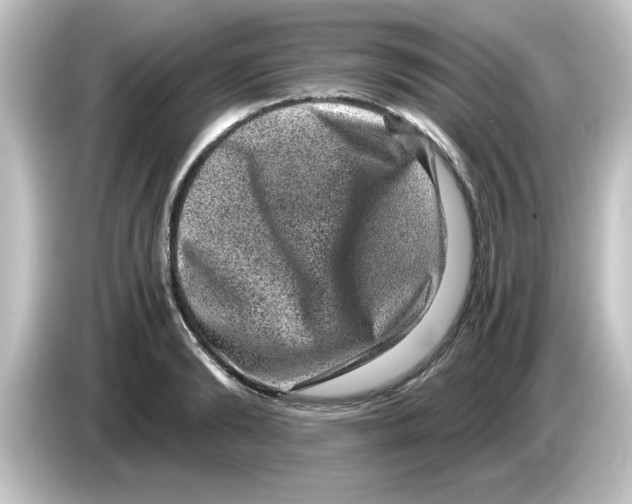 X0000084570894200703161720
