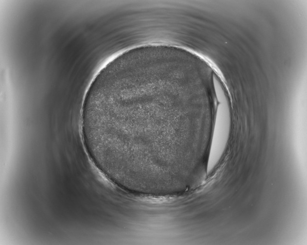 X0000084570895200703161720