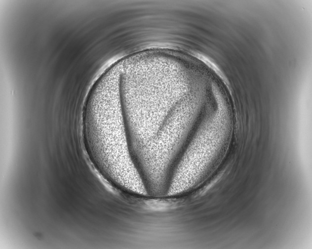X0000084570898200703161720