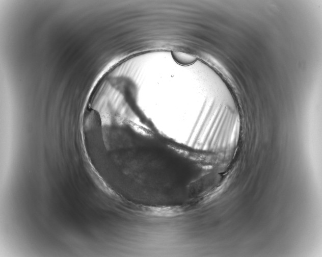 X0000084570899200703161720