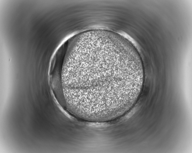X0000084570902200703161720