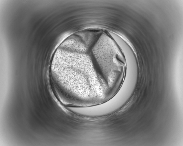 X0000084570906200703161720