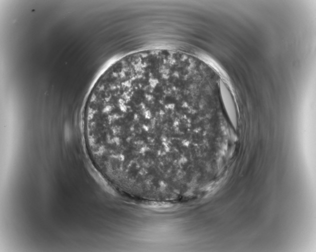 X0000084570907200703161720