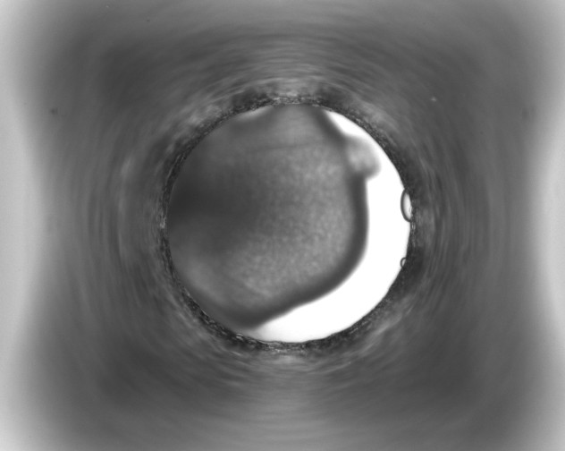 X0000084570913200703161719
