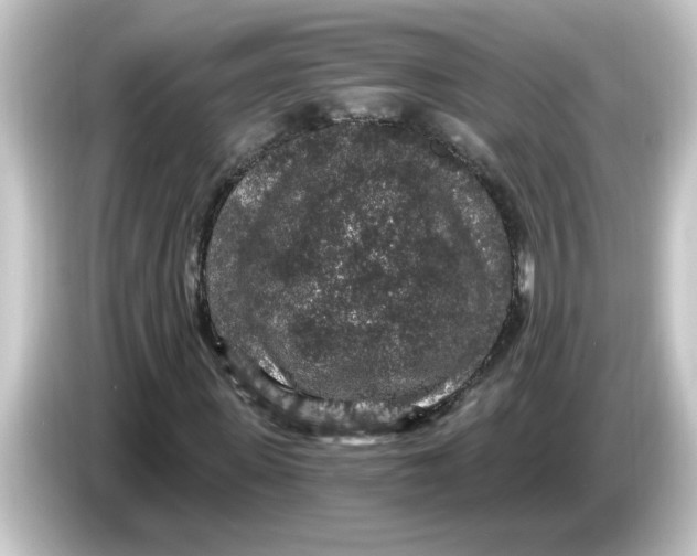 X0000084570915200703161719