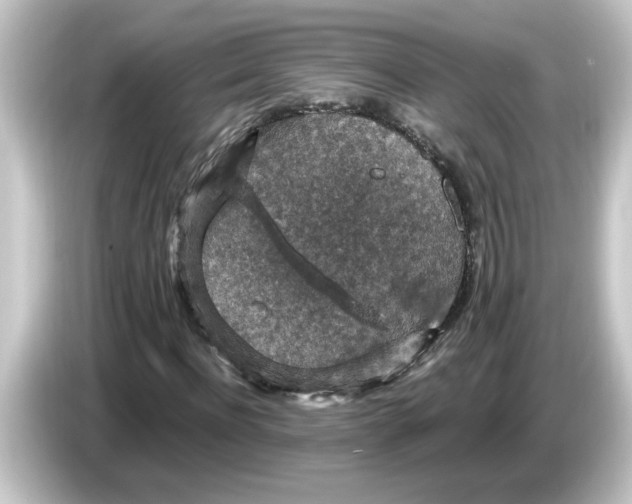 X0000084570916200703161719