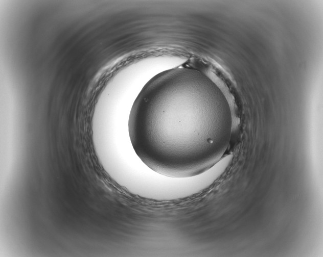 X0000084570920200703161719