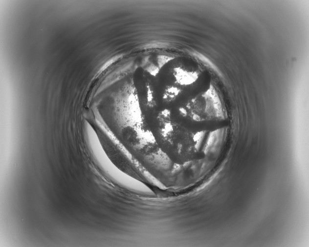 X0000084570921200703161719