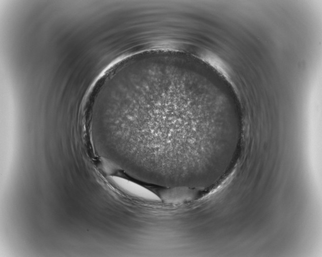 X0000084570923200703161719