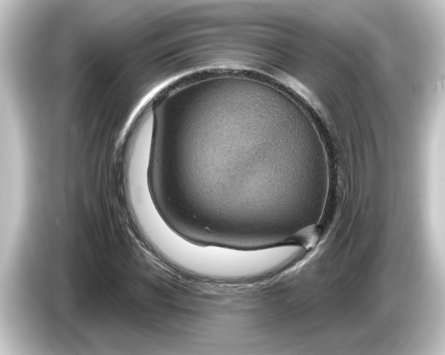 X0000084570926200703161719