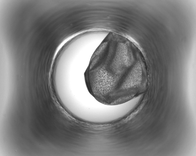 X0000084570928200703161719