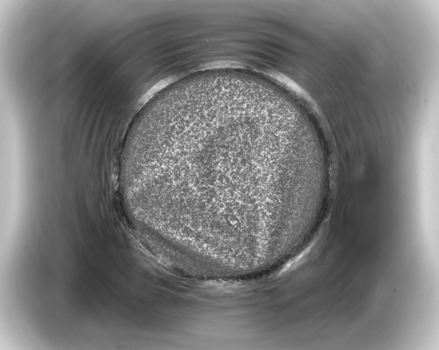 X0000084570929200703161719
