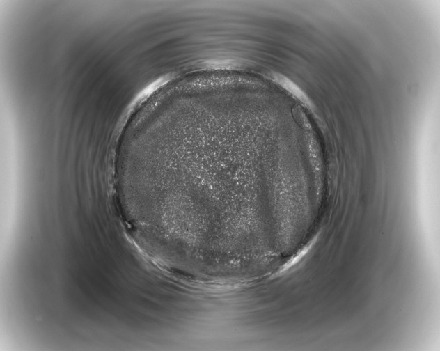X0000084570930200703161719