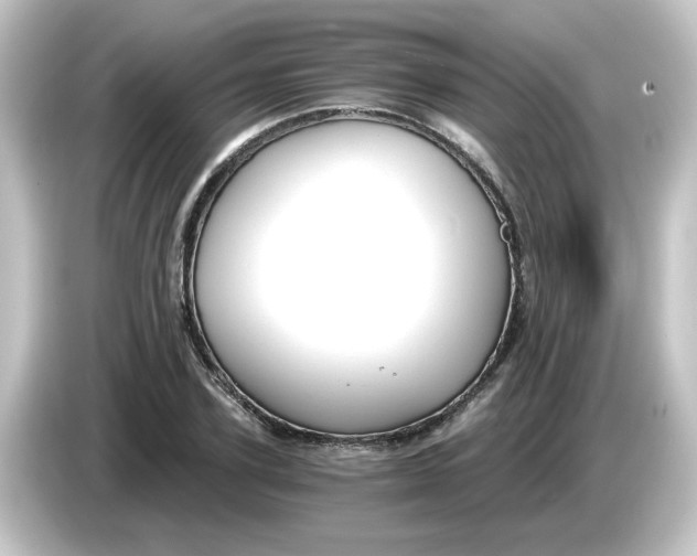 X0000084570931200703161719