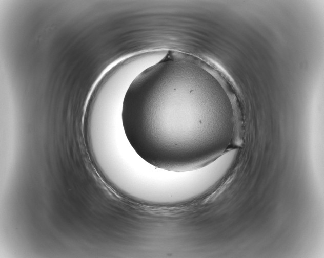X0000084570932200703161719