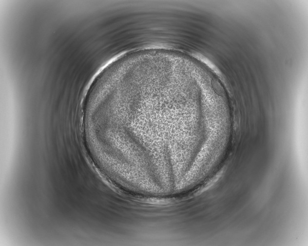 X0000084570933200703161719
