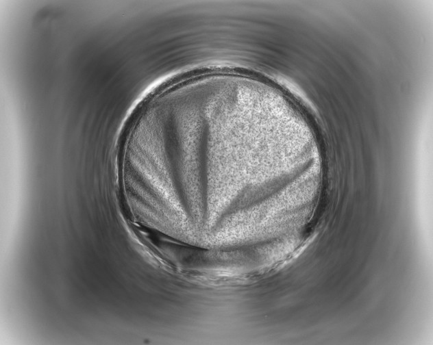 X0000084570934200703161719