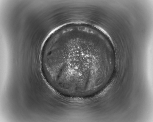 X0000084570935200703161719