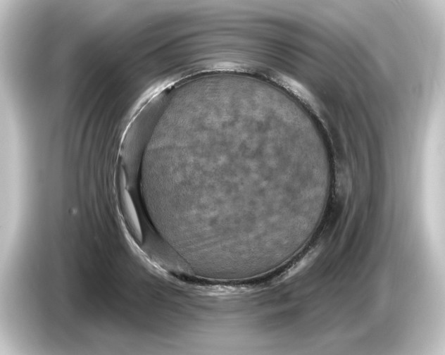 X0000084570938200703161719