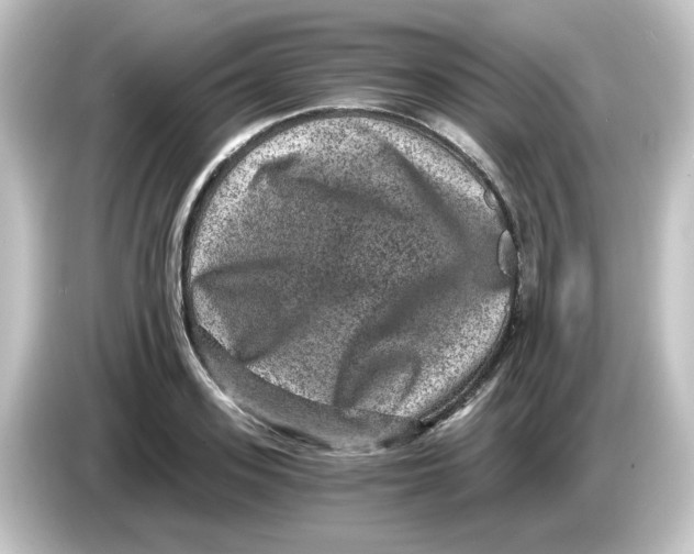 X0000084570939200703161719