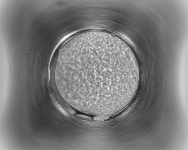X0000084570940200703161720