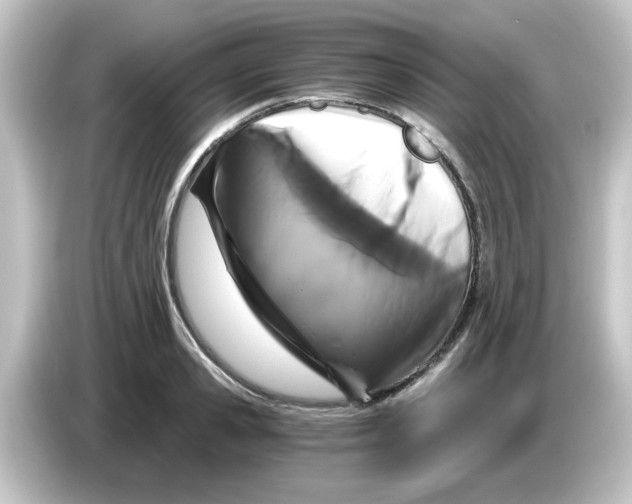 X0000084570941200703161720