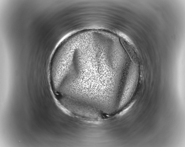 X0000084570942200703161720