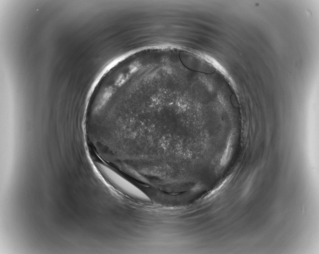 X0000084570943200703161720