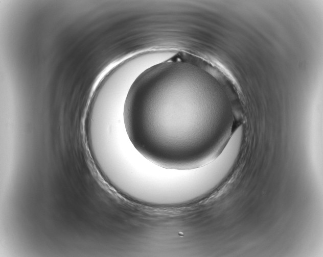 X0000084570944200703161720