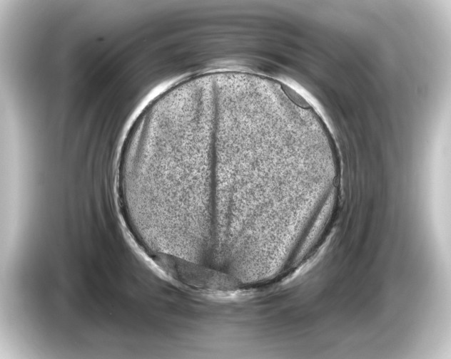 X0000084570949200703161720