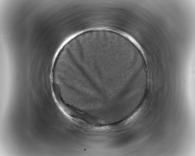 X0000084570951200703161720