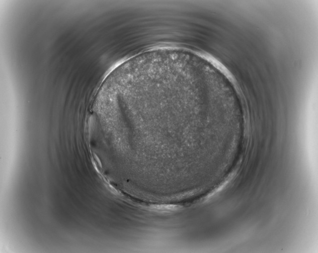 X0000084570953200703161720