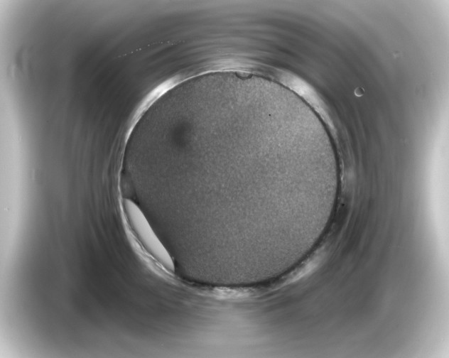 X0000084570954200703161720