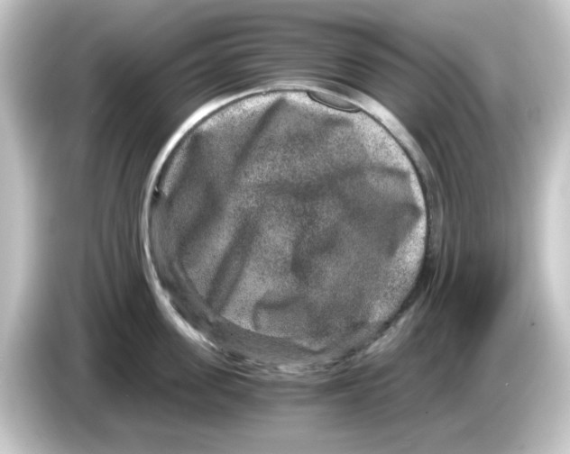 X0000084570955200703161720