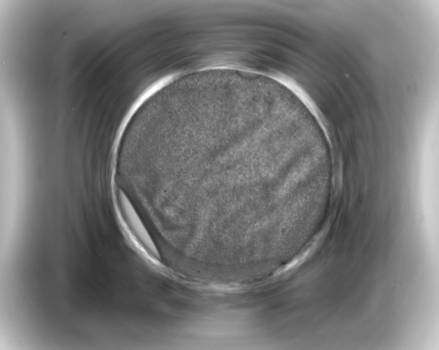 X0000084570957200703161720