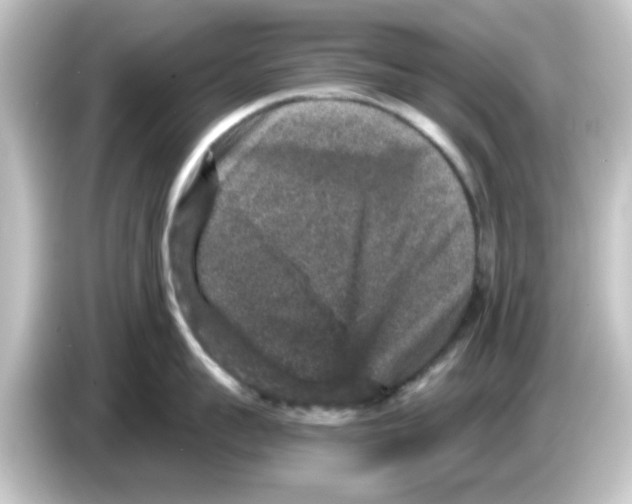 X0000084570959200703161720